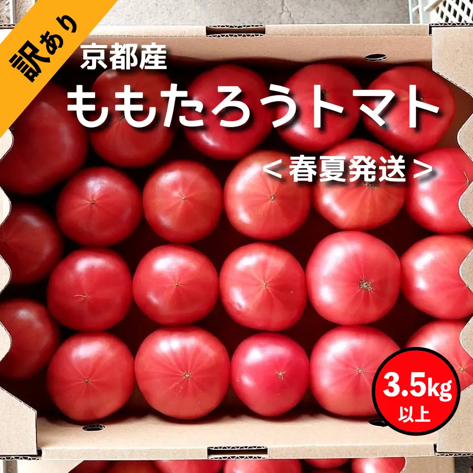 【トマト】訳ありももたろうトマト 3.5kg tomato とまと トマト 先行予約 2027年