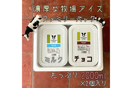 【北海道産搾りたて生乳使用】ひらかわ牧場のアイスクリーム 2個セットC フレッシュミルク チョコ 2Lパック ファミリー デザート スイーツ お取り寄せ ギフト せたな町 ふるさと納税