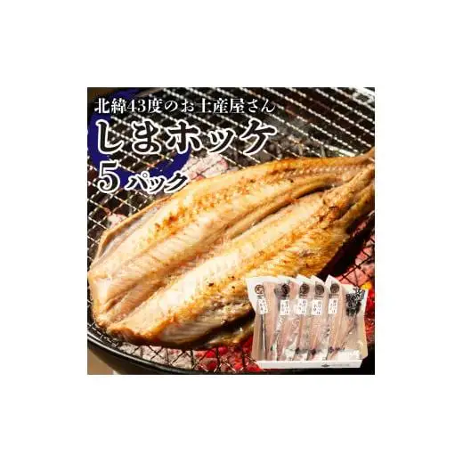 しまホッケ×5セット F21H-445