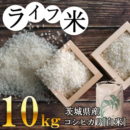 コシヒカリ・白米 10kg　令和4年産【ライフ米】 No.004