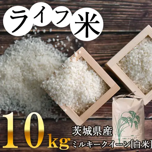 ミルキークイーン・白米 10kg　令和4年産【ライフ米】 No.068