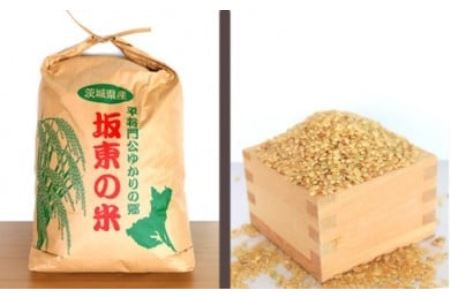 【令和7年産】茨城県坂東産　コシヒカリ20kg（玄米） ／ こしひかり 令和7年 米 お米 おこめ こめ コメ ご飯 国産米 20kg 20キロ 旨味 粘り 柔らかな食感 ガッツリ 弁当 おいしい お取り寄せ 産地直送 産直 坂東市産 茨城県産 茨城産 茨城県 特産品 No.177