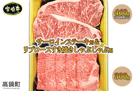 ＜宮崎牛 サーロインステーキ用460gとリブロースすき焼きしゃぶしゃぶ用300g＞翌月末迄に順次出荷【c236_sy_x1】