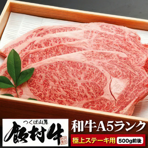 極上ステーキ500g前後 ＜飯村牛＞和牛A5ランク
