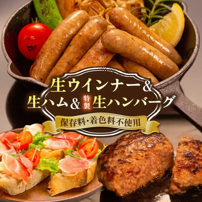 【お中元対象】特製 生ハンバーグ 生ハム 生ウインナー 3種 セット 糸島市 / 志摩スモークハウス[AOA028] 肉 加工品