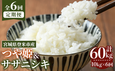 ≪令和8年産≫【6回定期便】ササニシキ・つや姫 計60kg (各5kg×6回配送) 登米市産 お米 おこめ 米 コメ 白米 ご飯 ごはん おにぎり お弁当 6か月 頒布会【登米ライスサービス株式会社】tm462