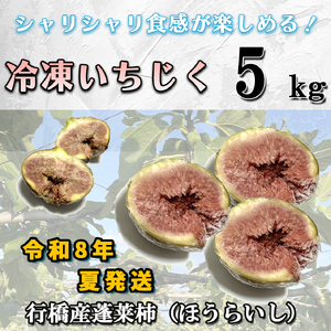 AO-013_冷凍いちじく5kg