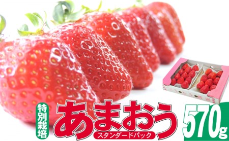 いちご 2027年2月下旬より発送 うるう農園のあまおう スタンダード2パック 約570g※配送不可：離島 果物 フルーツ デザート 食後 特別栽培 福岡県産 国産 日本産 