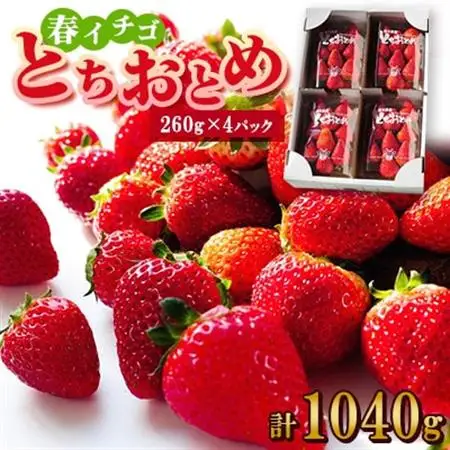 春イチゴ『とちおとめ』(260g×4パック)_果物・フルーツ いちご  イチゴ 苺_【配送不可地域：離島】【1389986】