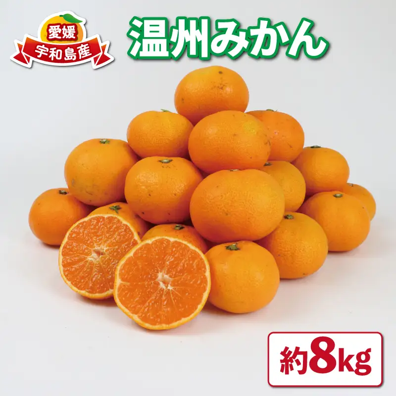 【みかん】温州みかん8kg家庭用平石農園国産宇和島|B010-017008
