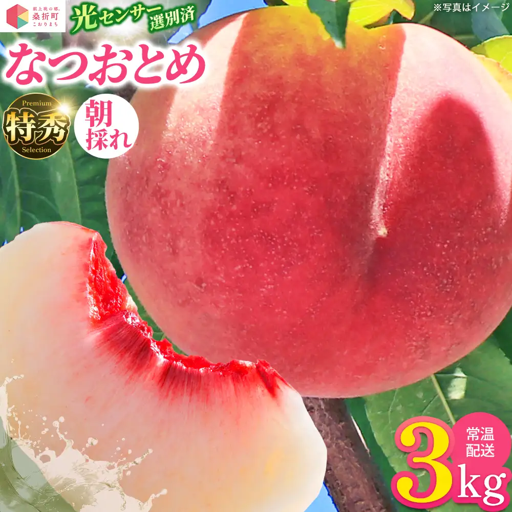 もも【なつおとめ・2026年産】特秀　3kg　桑折町産　JAふくしま未来　桃　献上桃の郷　【07301-0170】