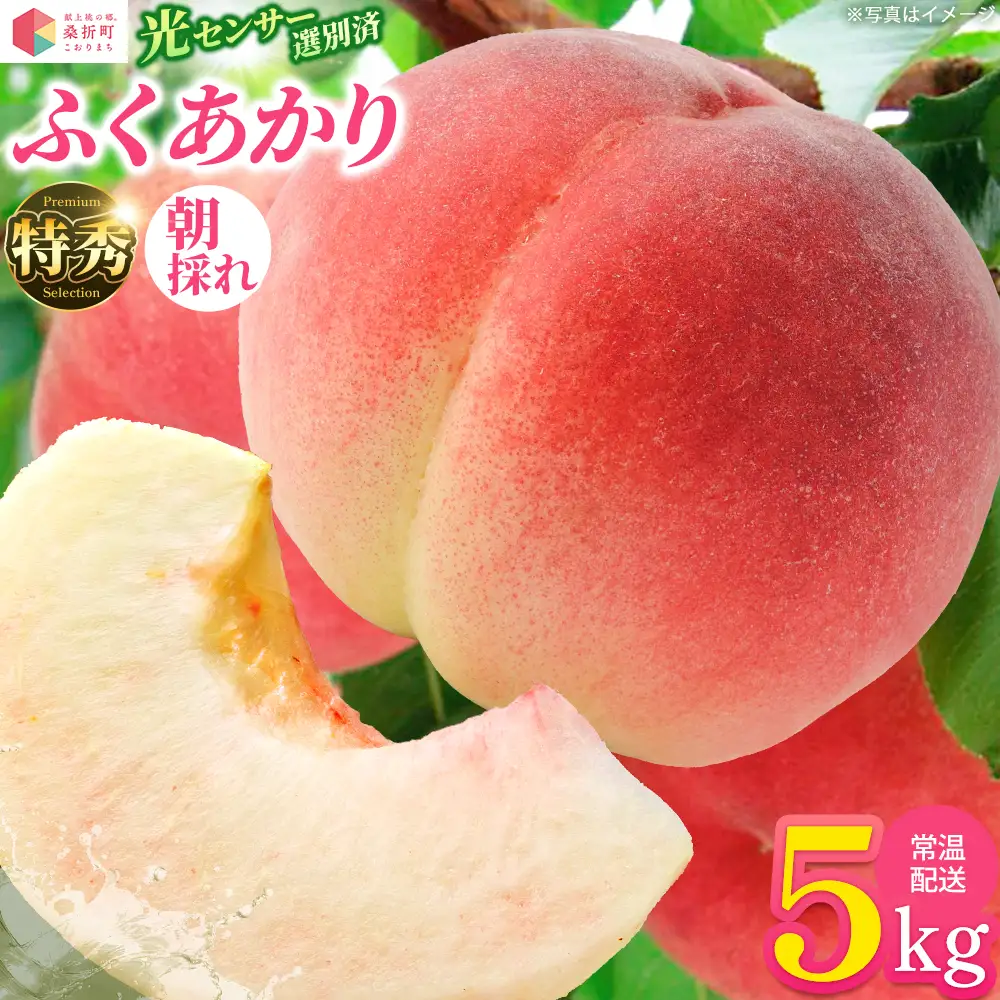 もも【ふくあかり・2027年産先行予約】特秀　5kg　桑折町産　JAふくしま未来　桃 ／ もも モモ 果物 フルーツ 旬 甘い 甘み ジューシー 果肉 果汁 新鮮 フレッシュ デザート おいしい 産地直送 桑折 こおり こおりまち 福島県 特産品 献上桃の郷 【07301-0173】