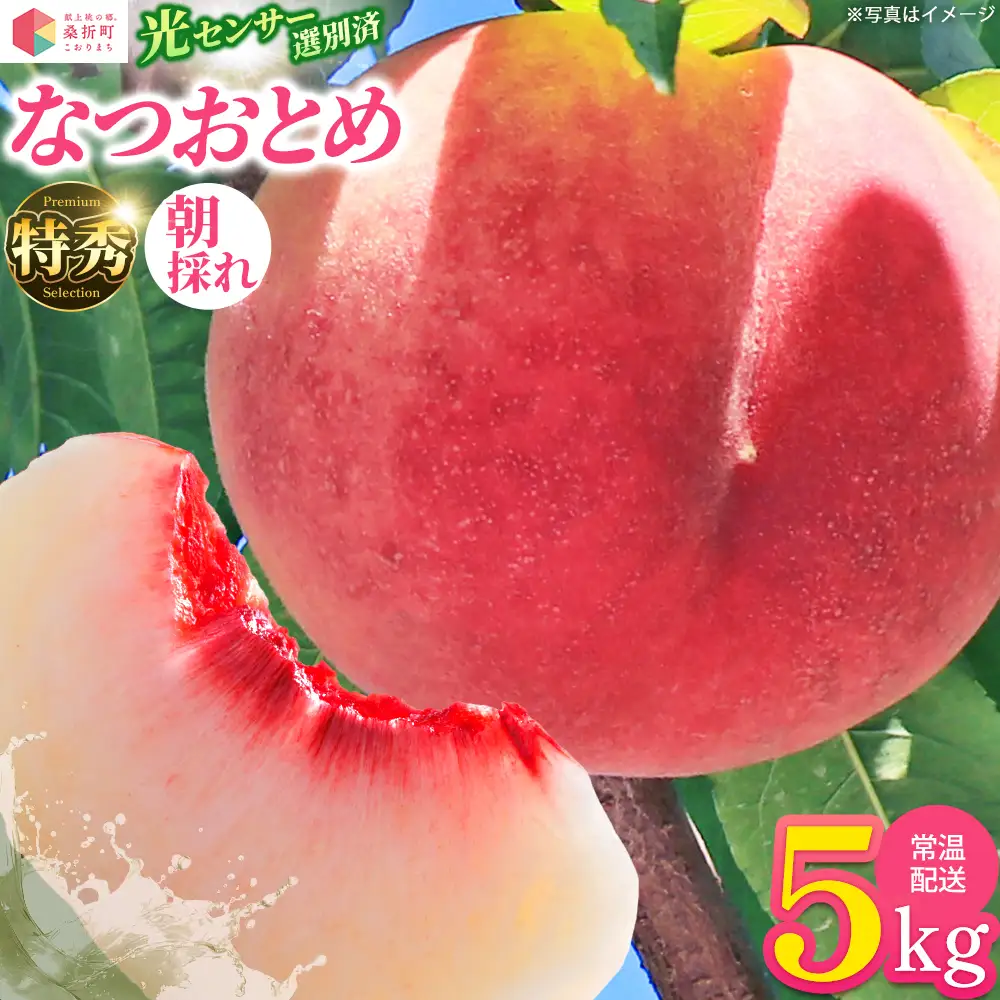 もも【なつおとめ・2026年産】特秀　5kg　桑折町産　JAふくしま未来　桃　献上桃の郷　【07301-0174】