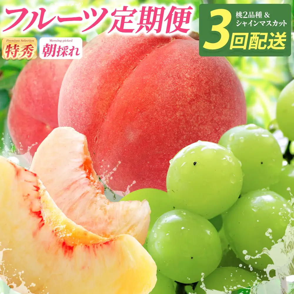 【令和9年7月～9月頃発送・先行予約】桑折町もも2品種・シャインマスカット定期便 ／ もも モモ マスカット 果物 フルーツ 旬 甘い 甘み ジューシー 果肉 果汁 新鮮 フレッシュ デザート おいしい 産地直送 桑折 こおり こおりまち 福島県 特産品 【07301-0176】