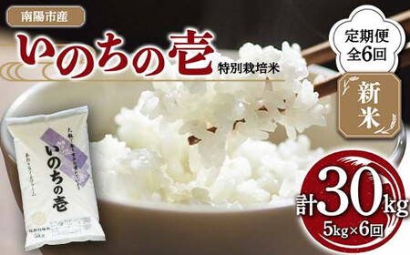 【金賞受賞農家】 《定期便6回》 令和7年産 特別栽培米 いのちの壱 5kg×6か月 『あおきライスファーム』 山形南陽産 米 白米 精米 ご飯 農家直送 山形県 南陽市 [1617]