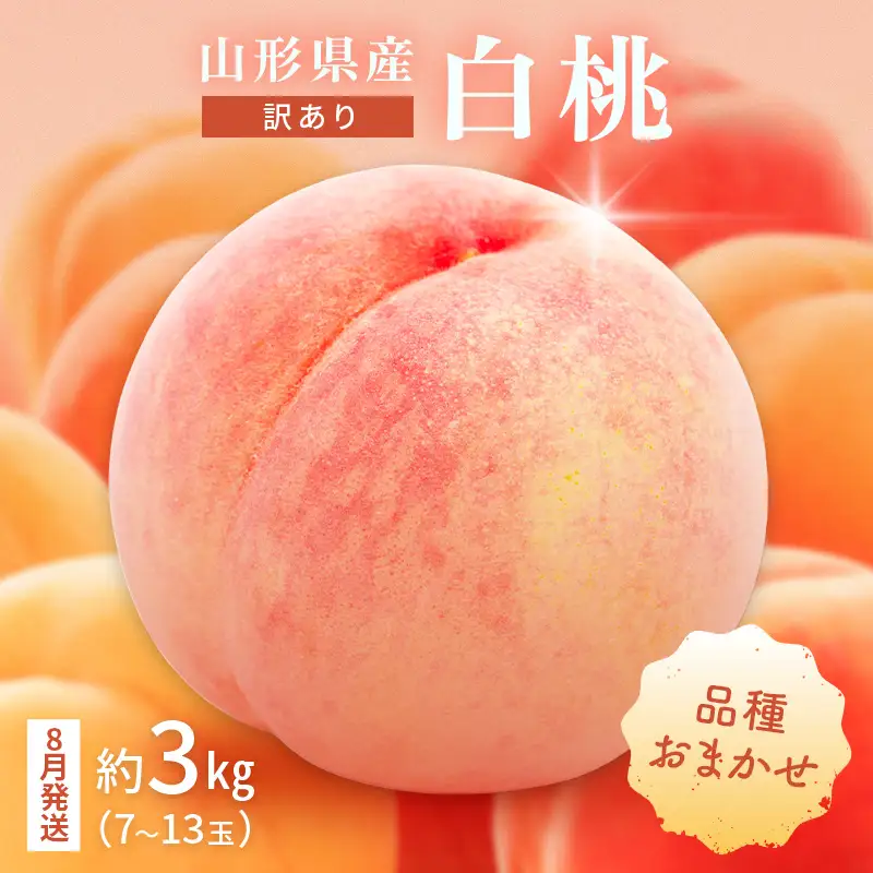 FYN9-731 ≪2027年先行予約≫ ご家庭用 8月発送 山形県産 品種おまかせ 白桃 約3kg(7～13玉) 2027年8月上旬から順次発送 果物 くだもの フルーツ 桃 もも ピーチ 白桃 はくとう 自宅 家庭 訳あり ワケアリ 支援品 山形県 西川町 月山