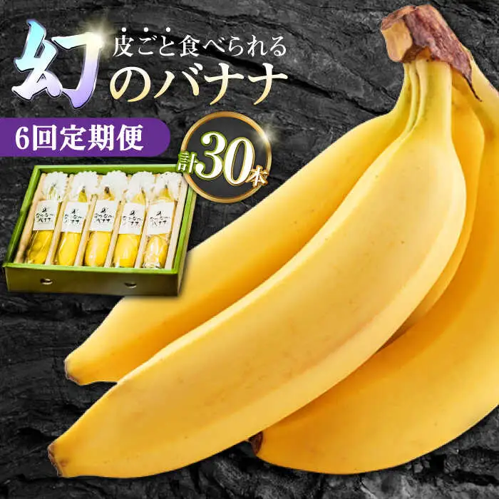 【6回定期便】なかなかバナナ 5本〈7月~9月は発送停止〉ミナサポ [SCW048] バナナ