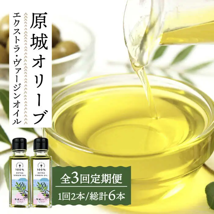 【3回定期便】原城オリーブ エクストラヴァージン オイル 100ml 2本 / 調味料 油 オリーブオイル オリーブ / 南島原市 / ミナサポ [SCW050]