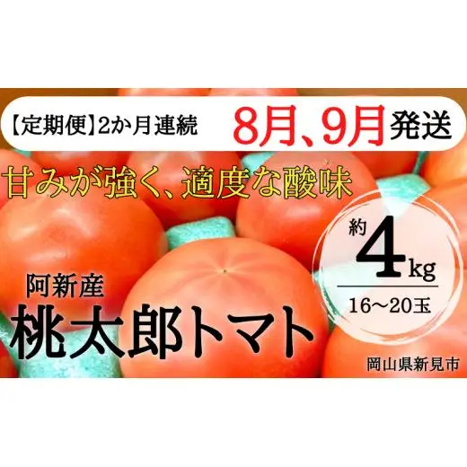 【定期便：8・9月発送】阿新産桃太郎トマト 1箱 約4kg 16～20玉 2か月連続お届け