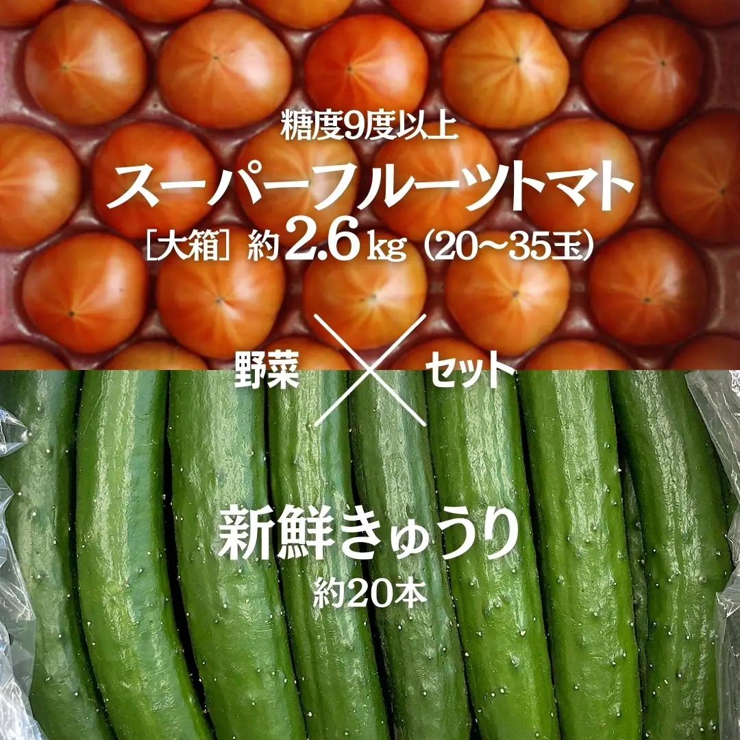 《 2027年 収穫分 》 スーパーフルーツトマト 大箱 約3kg （大玉20〜35玉）＆ 新鮮 きゅうり 約20本 セット 糖度9度以上 先行予約 フルーツトマト ブランドトマト 野菜 ギフト 贈答 [BC062sa]