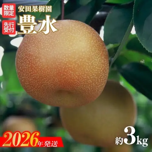 No.2608梨　豊水　約3kg【2026年発送】