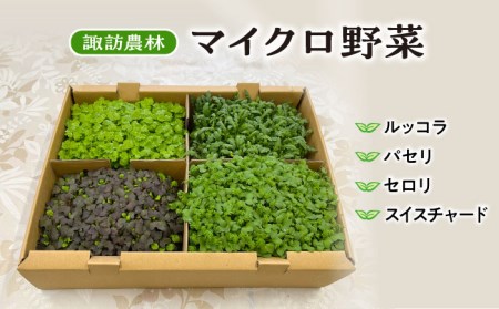 マイクロ野菜 4点セット〈 ルッコラ パセリ セロリ スイスチャード 〉【諏訪農林】[TDO001]