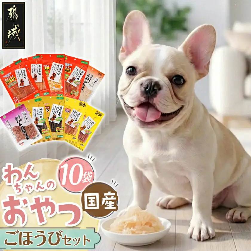 わんちゃんのおやつ★ごほうび10袋セット〔AA-G703〕_(都城市) 国産 犬用おやつ ごほうび 10袋セット 細切りソフト うす切りソフト ふりかけササミ＆チーズ  超やわらか巻きガムミニ ふわふわ削り節 ソフトカット 細切り チーズスティックささみ包み ささみ犬好棒ミニ