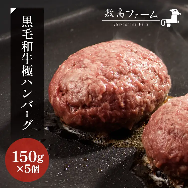 那須高原 敷島和牛手作りハンバーグ（150g×5個）計750g 小分け ハンバーグ 肉 お肉 牛肉 国産 黒毛和牛 冷凍 栃木県 那須町《敷島ファーム》〔B-82〕※着日指定不可　 ※北海道・沖縄・離島への配送不可