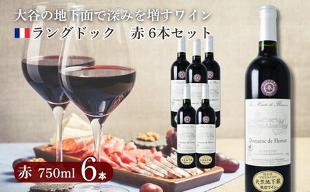 大谷の天然地下蔵で深みを増すワイン ラングドック赤 6本セット ※配送不可地域：離島 | 赤ワイン wine お酒 ギフト ワイン wine セット 栃木県 宇都宮市