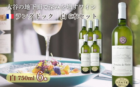大谷の天然地下蔵で深みを増すワイン　ラングドック白 6本セット ※配送不可地域：離島 | 白ワイン お酒 ギフト ワイン wine  セット 栃木県 宇都宮市 ワイン