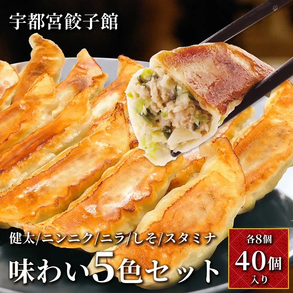 「宇都宮餃子館」味わい5色セット (各8個入り) ｜ 餃子 冷凍 ぎょうざ 食べ比べ 栃木県 宇都宮市