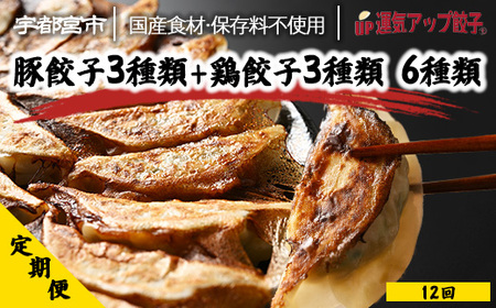 【定期便12回】宇都宮餃子 運気アップ餃子 6種類味比べ(108個×12回　合計1,296個)【配送不可地域：離島】