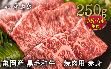 平井牛 焼肉用赤身250g 焼肉 和牛焼肉 焼肉 焼肉 国産焼肉 焼肉