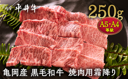 平井牛 霜降り焼肉250g 焼肉