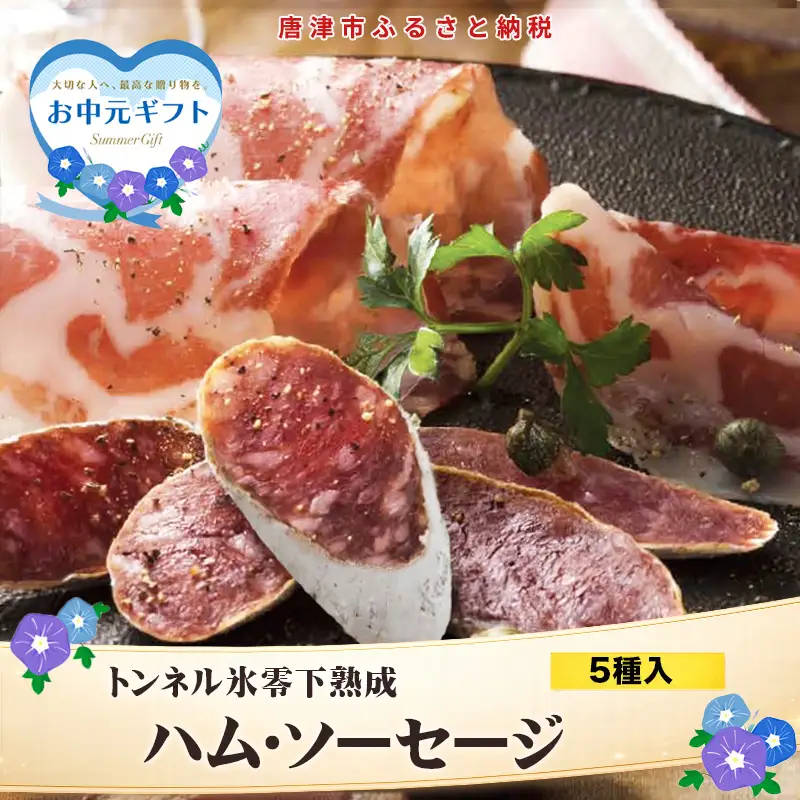 「お中元」トンネル氷零下熟成ハム・ソーセージセット TPC-2 詰合せ おかず おつまみ サラミ 生ハム ベーコン セット ギフト