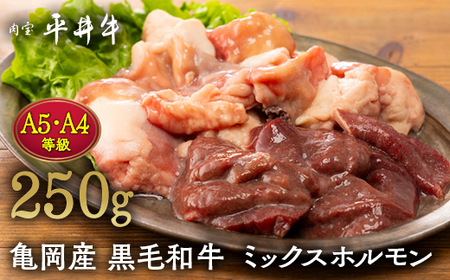【7営業日以内発送】平井牛 ミックスホルモン 250g 焼肉 焼肉