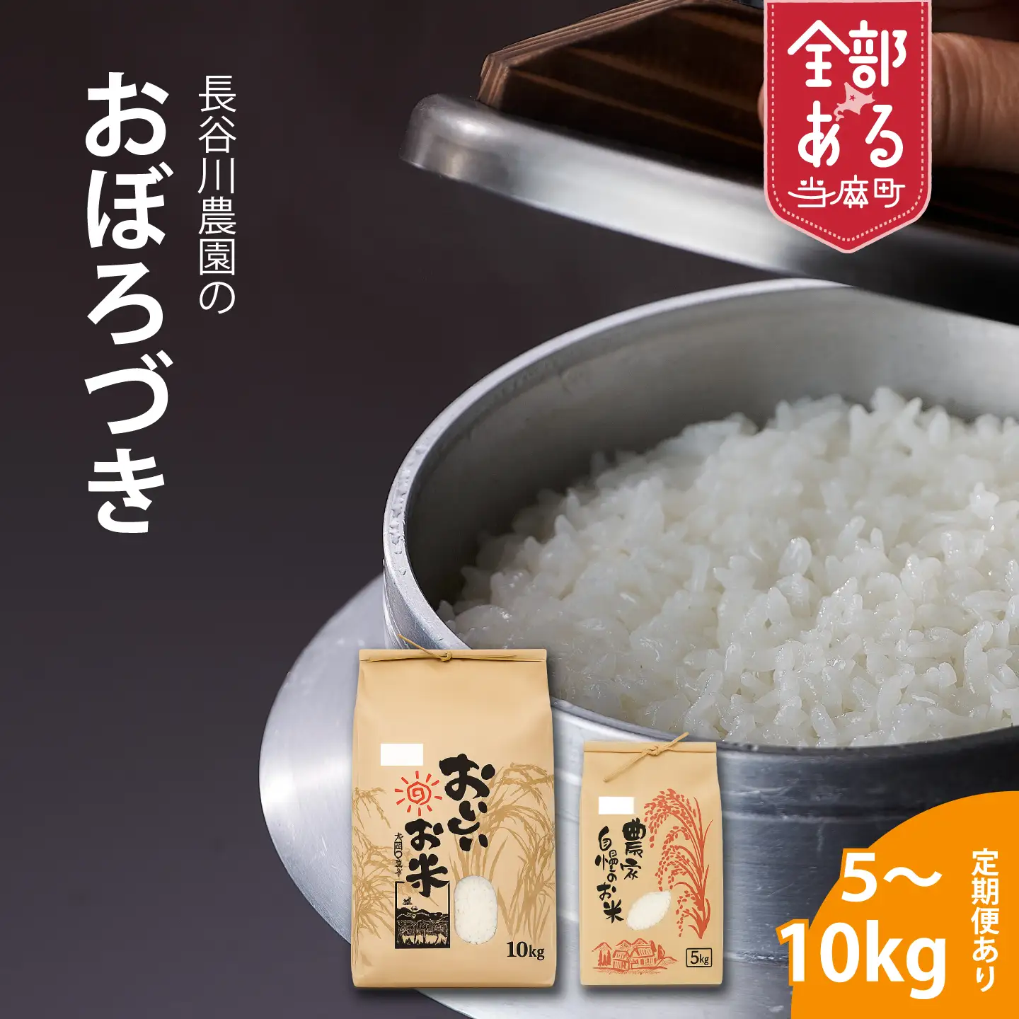 【令和6年産】おぼろづき 10kg×6回コース〈定期便〉精米 北海道当麻町 長谷川農園【U-020】