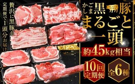 【10回定期便】かごしま黒豚1頭まるごと 約45kg 生産者直送 鹿児島 黒豚 まるごと 1頭 定期便 豚肉 薩摩八重ファーム 工房みかく亭 MSR-601 