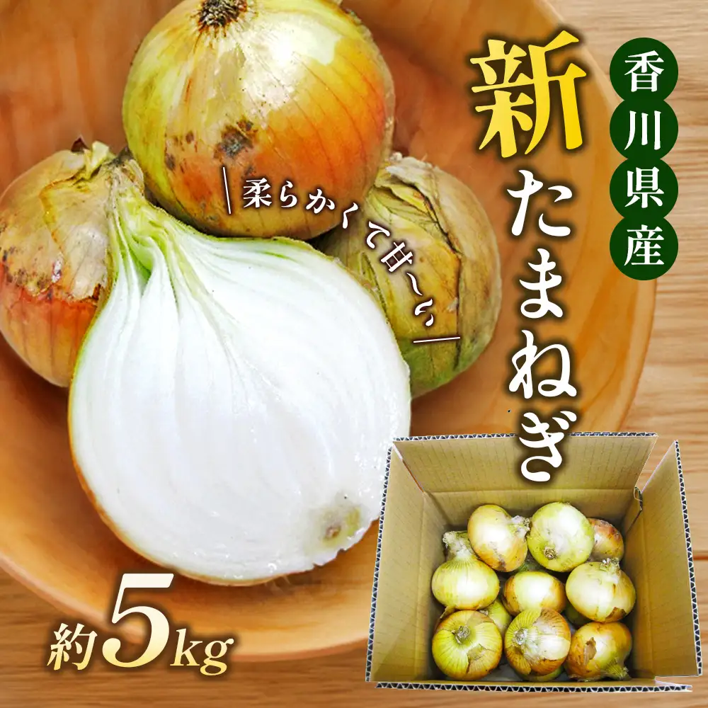 新玉ねぎ 香川県産 令和8年産 新玉ねぎ【約5kg 2L〜M】 【46311146】