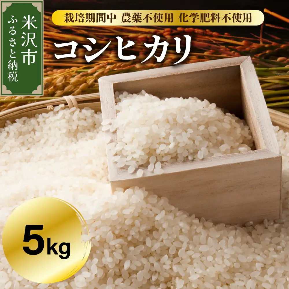 【 令和7年産 】 コシヒカリ 5kg 【栽培期間中農薬不使用・化学肥料不使用】 産地直送 2025年産