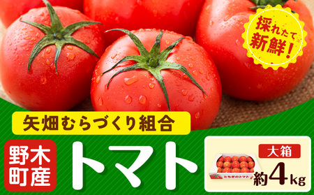 トマト約4kg大箱トマト野菜新鮮矢畑