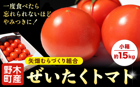 トマトぜいたくトマト約1.5kg小箱矢畑