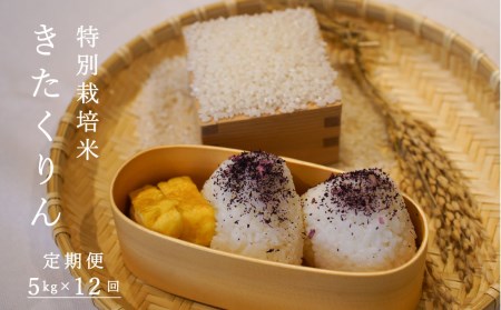 【令和6年産】【定期便】特別栽培米きたくりん 5kg×12回 北海道当麻町 舟山農産 減農薬 低農薬【AB-024】
