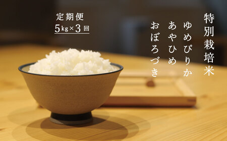 【定期便】特別栽培米 ゆめぴりか あやひめ おぼろづき 北海道米3種食べ比べ 北海道当麻町 当麻グリーンライフ 低農薬 減農薬【T-009】