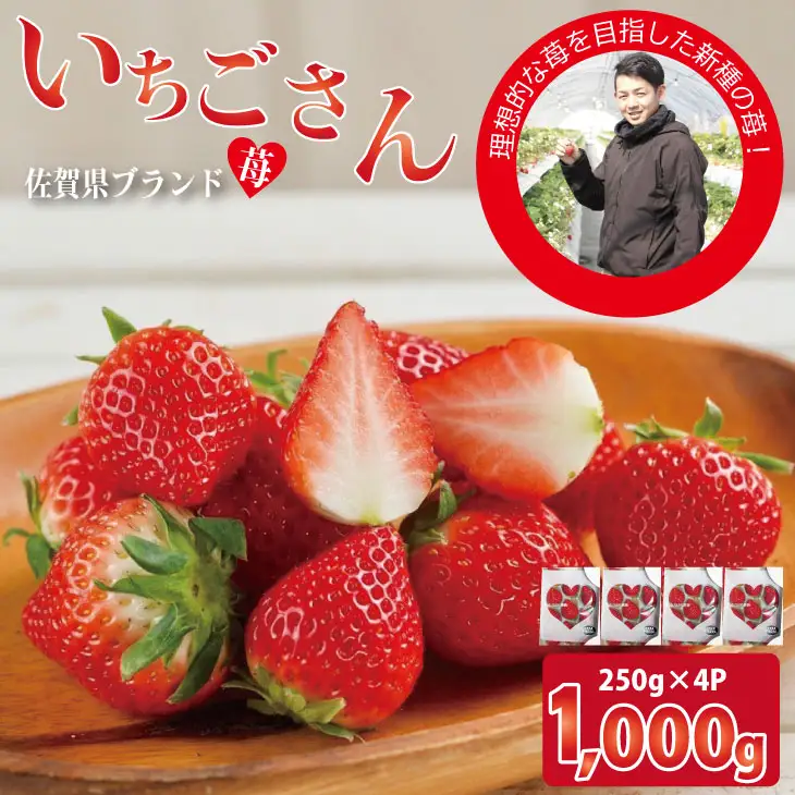 【先行予約】R9年1月中旬頃出荷開始 佐賀ブランド苺 いちごさん（250g×4P）なかはら農園 いちご 苺 B130-030