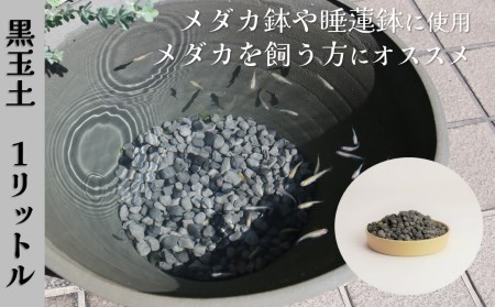 【バクテリアが多く住める多孔質ろ材】黒玉土１リットル　めだか鉢 金魚鉢 メダカ 鉢 陶器 睡蓮 多孔質土　H100-085