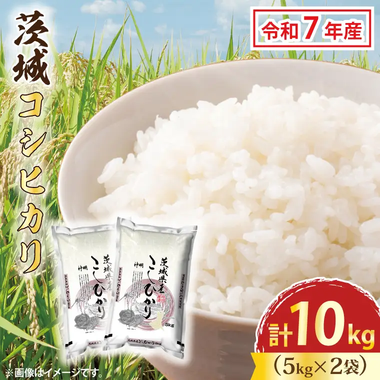 令和7年産 茨城 コシヒカリ 10kg (5㎏×２袋) 米 精米 茨城県産_CU001
