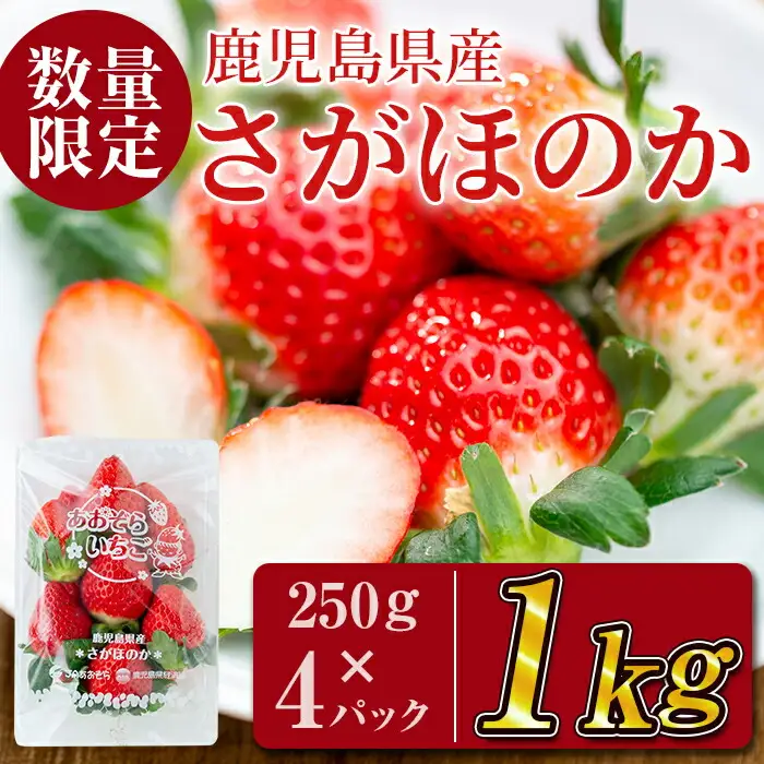 【予約受付中】鹿児島県産いちご！愛情たっぷりさがほのか 計1kg(250g×4パック) a5-067
