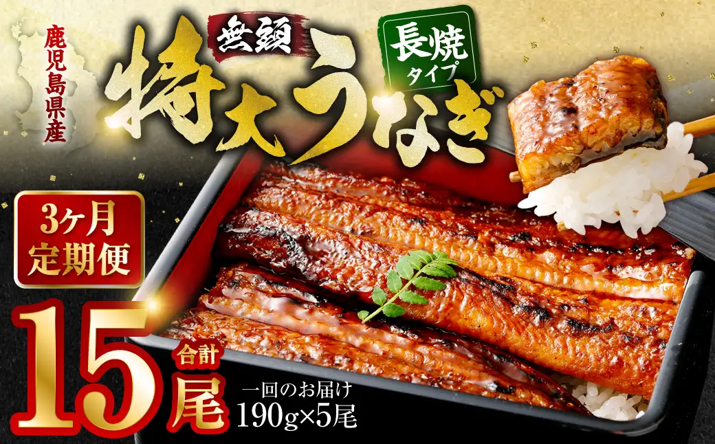 JS-224【3ヶ月定期便】鹿児島県産無頭特大うなぎ蒲焼約190g×5尾×3回