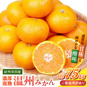 【2026年11月下旬より発送】紀州 有田産 濃厚甘熟 温州みかん 7.5kg 【家庭用 訳あり】_G7345